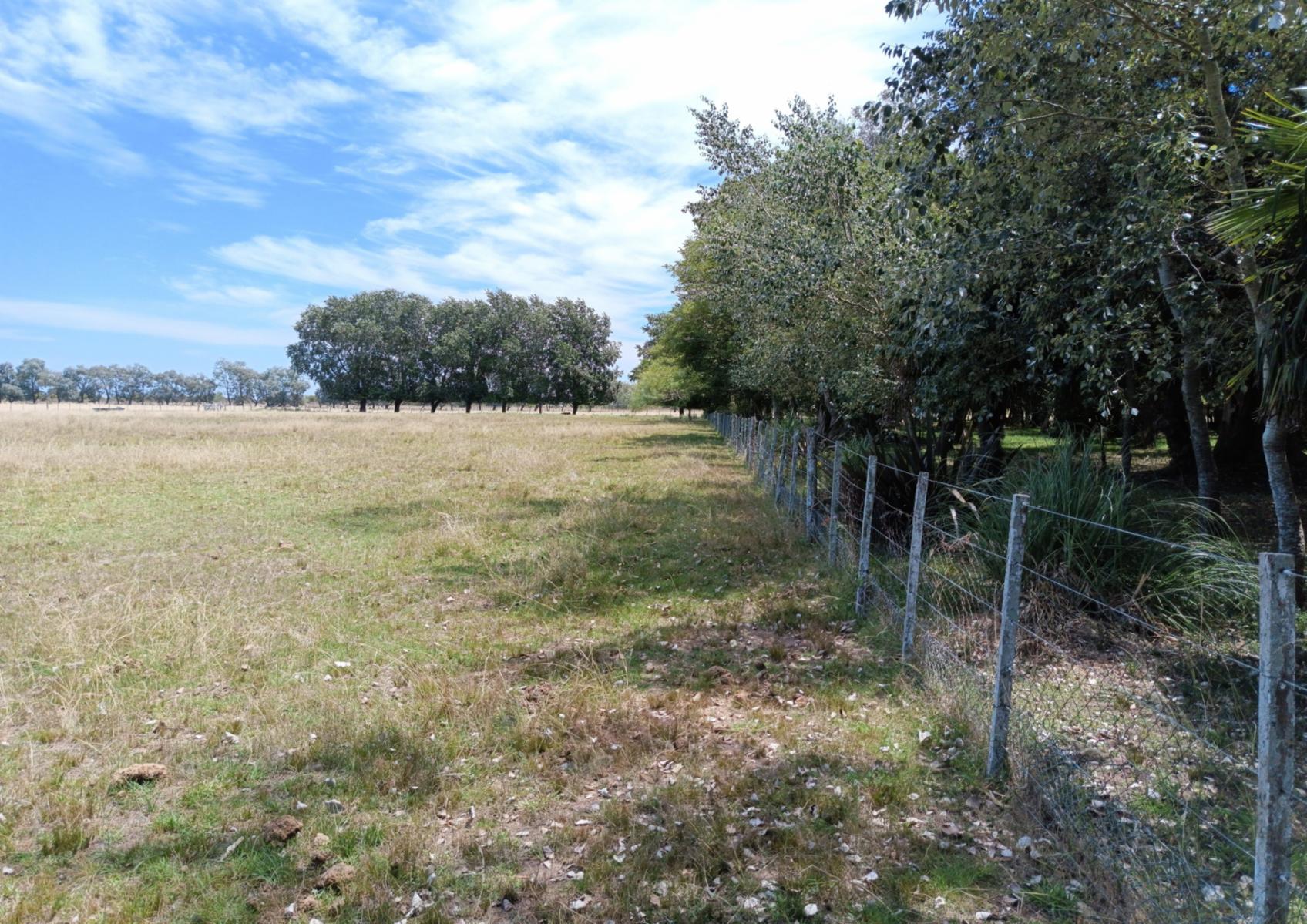 Campo En Venta En Magdalena-Pastoreo Natural Intensivo - 18
