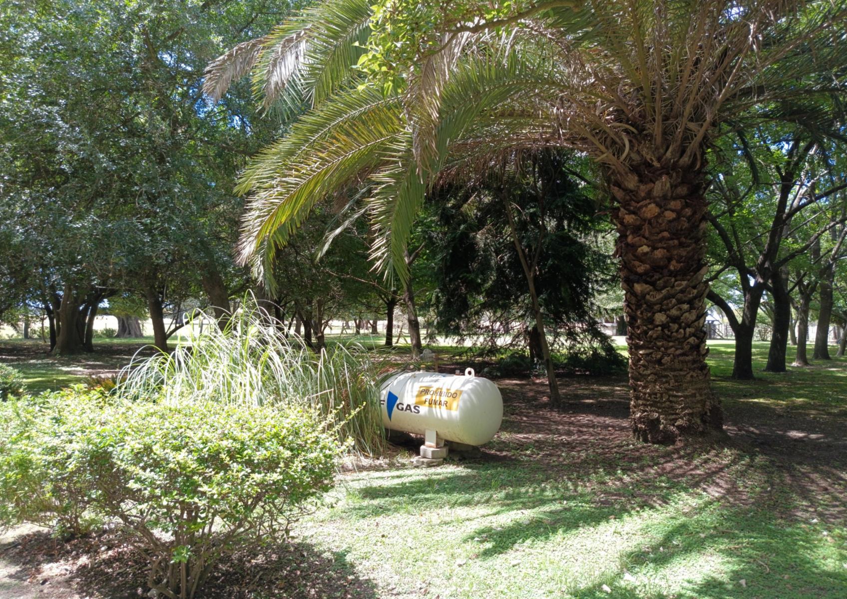 Campo En Venta En Magdalena-Pastoreo Natural Intensivo - 19