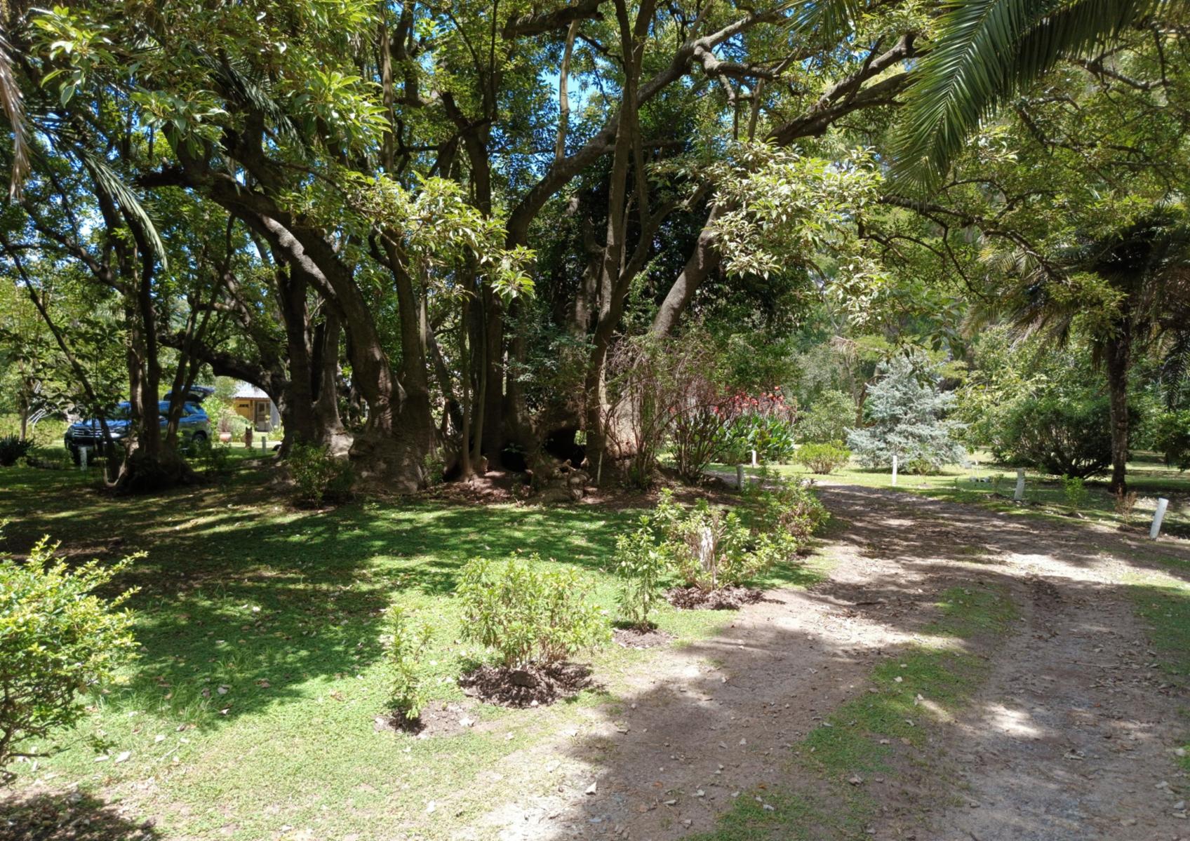 Campo En Venta En Magdalena-Pastoreo Natural Intensivo - 20