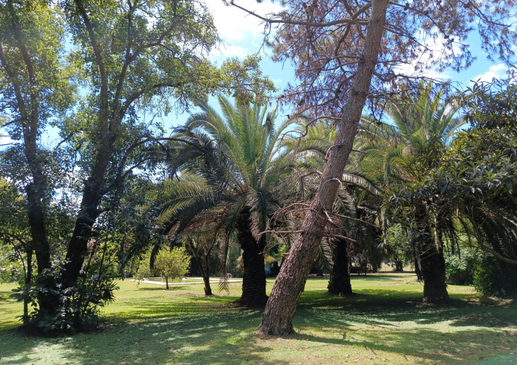 Campo En Venta En Magdalena-Pastoreo Natural Intensivo - 21