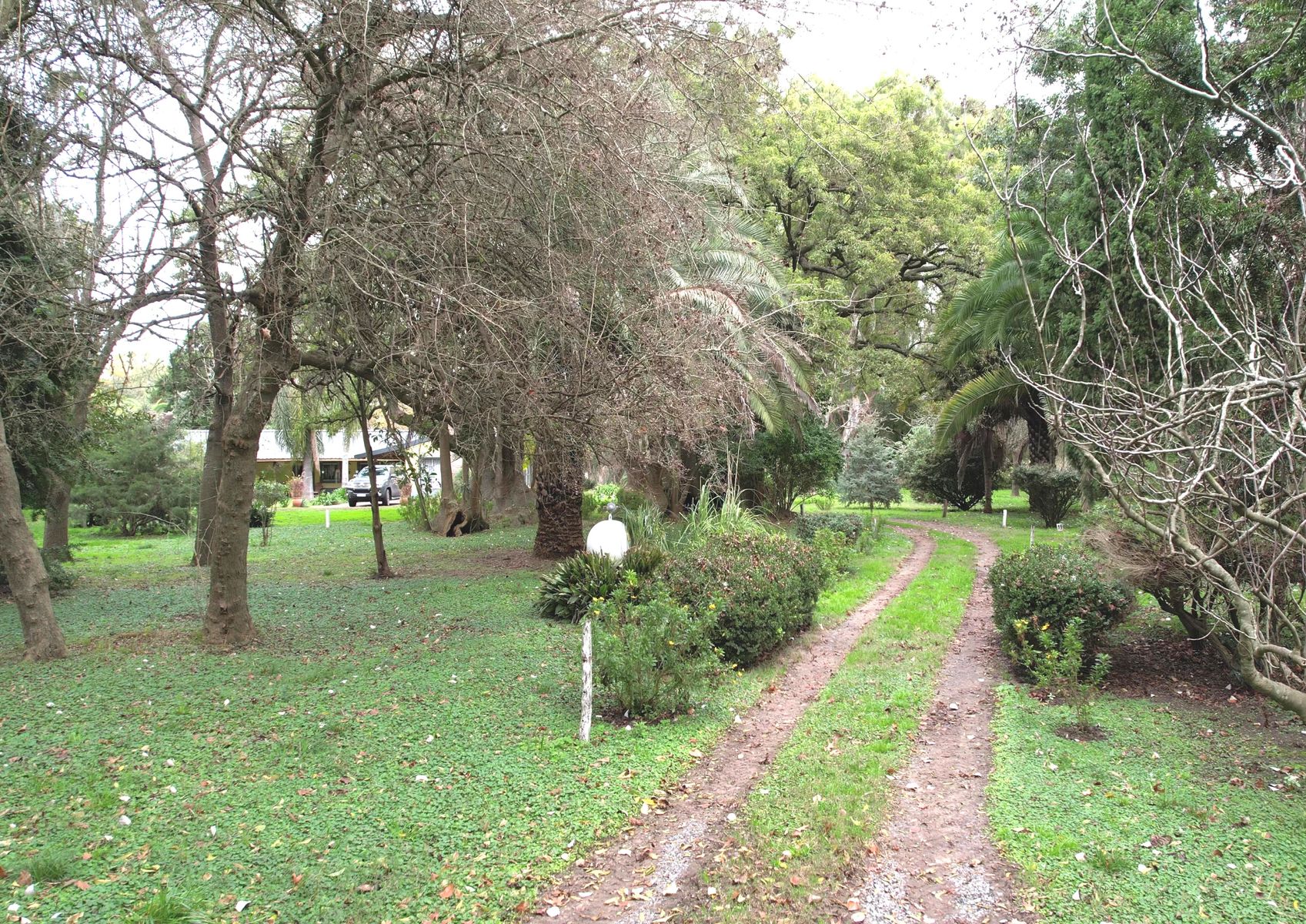 Campo En Venta En Magdalena-Pastoreo Natural Intensivo - 2