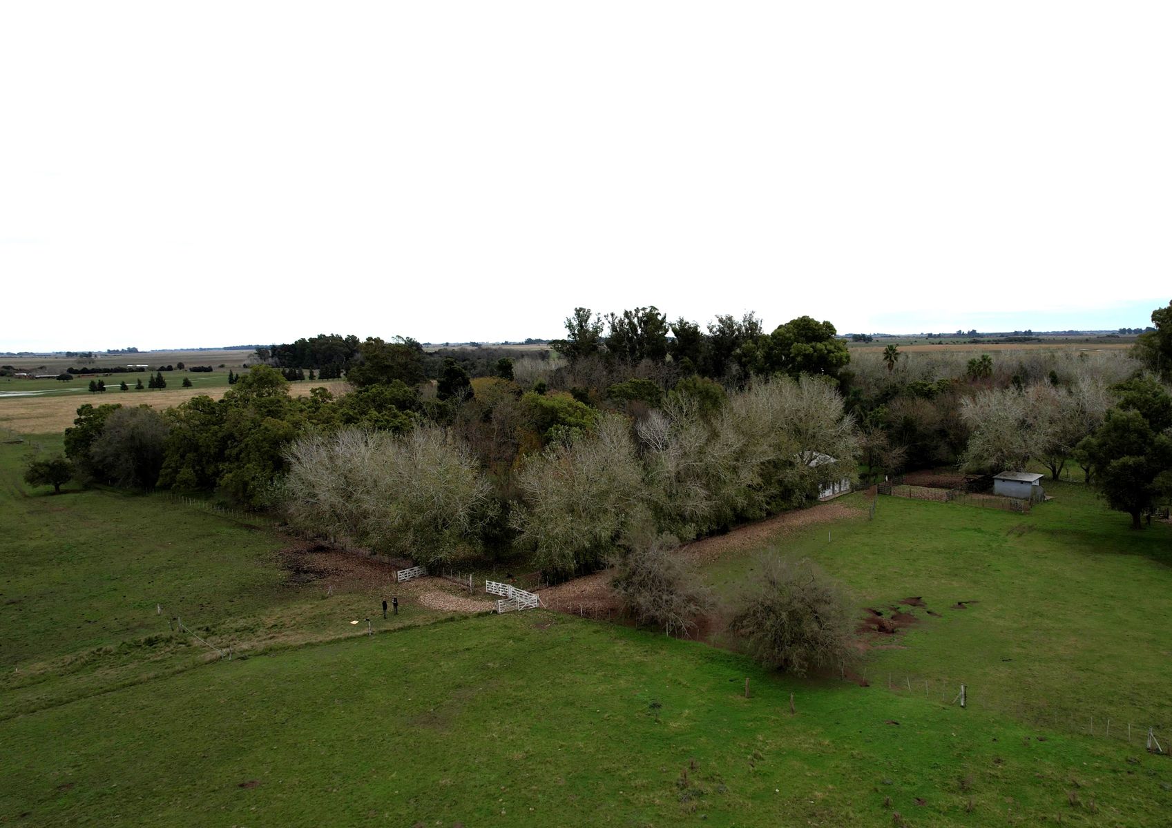 Campo En Venta En Magdalena-Pastoreo Natural Intensivo - 5