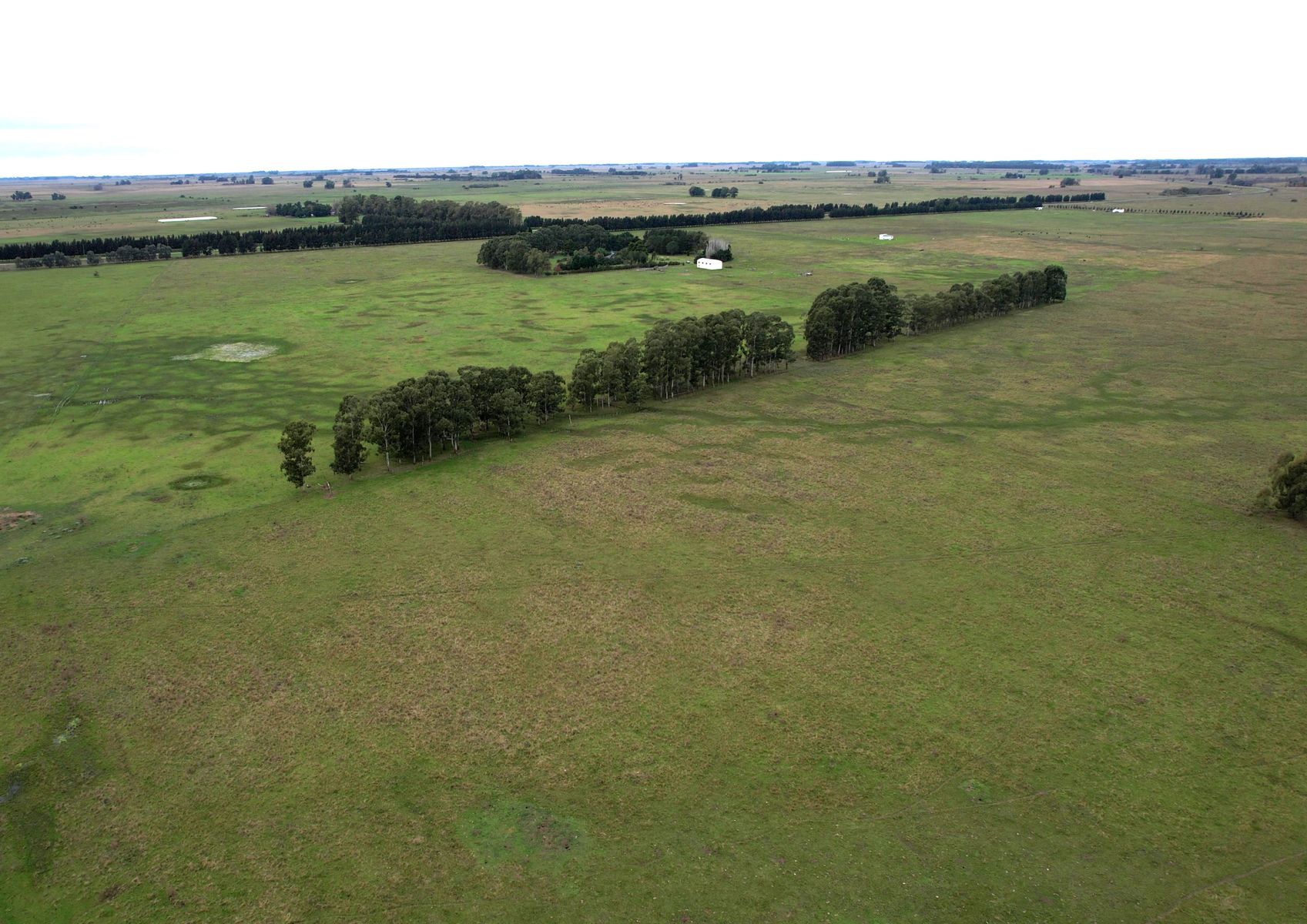Campo En Venta En Magdalena-Pastoreo Natural Intensivo - 9