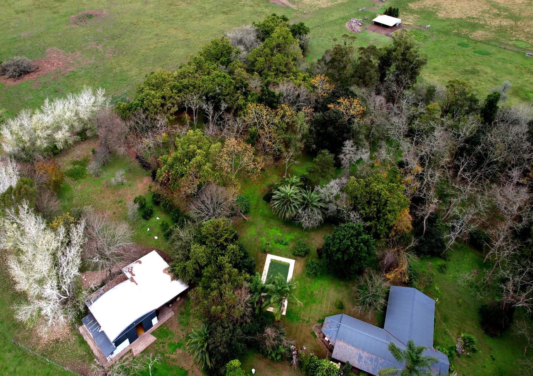 Campo En Venta En Magdalena-Pastoreo Natural Intensivo - 10