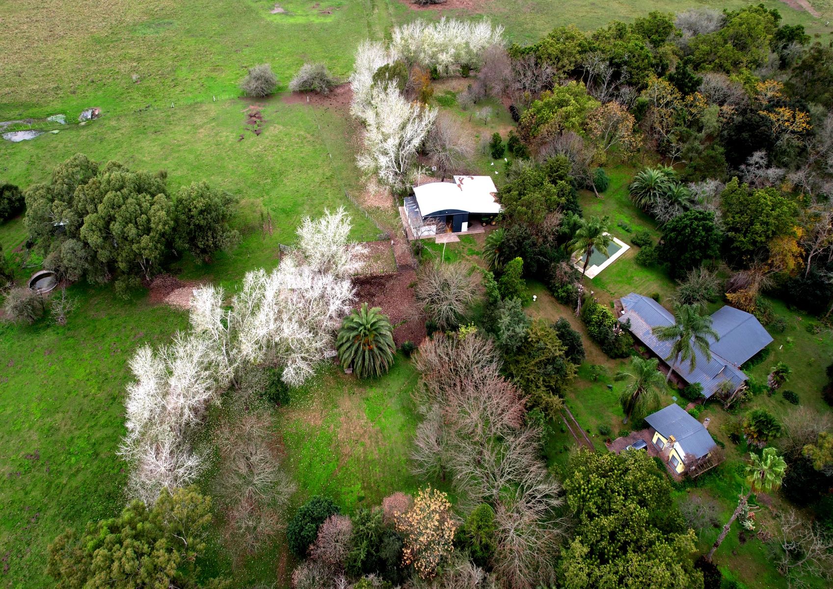 Campo En Venta En Magdalena-Pastoreo Natural Intensivo - 11