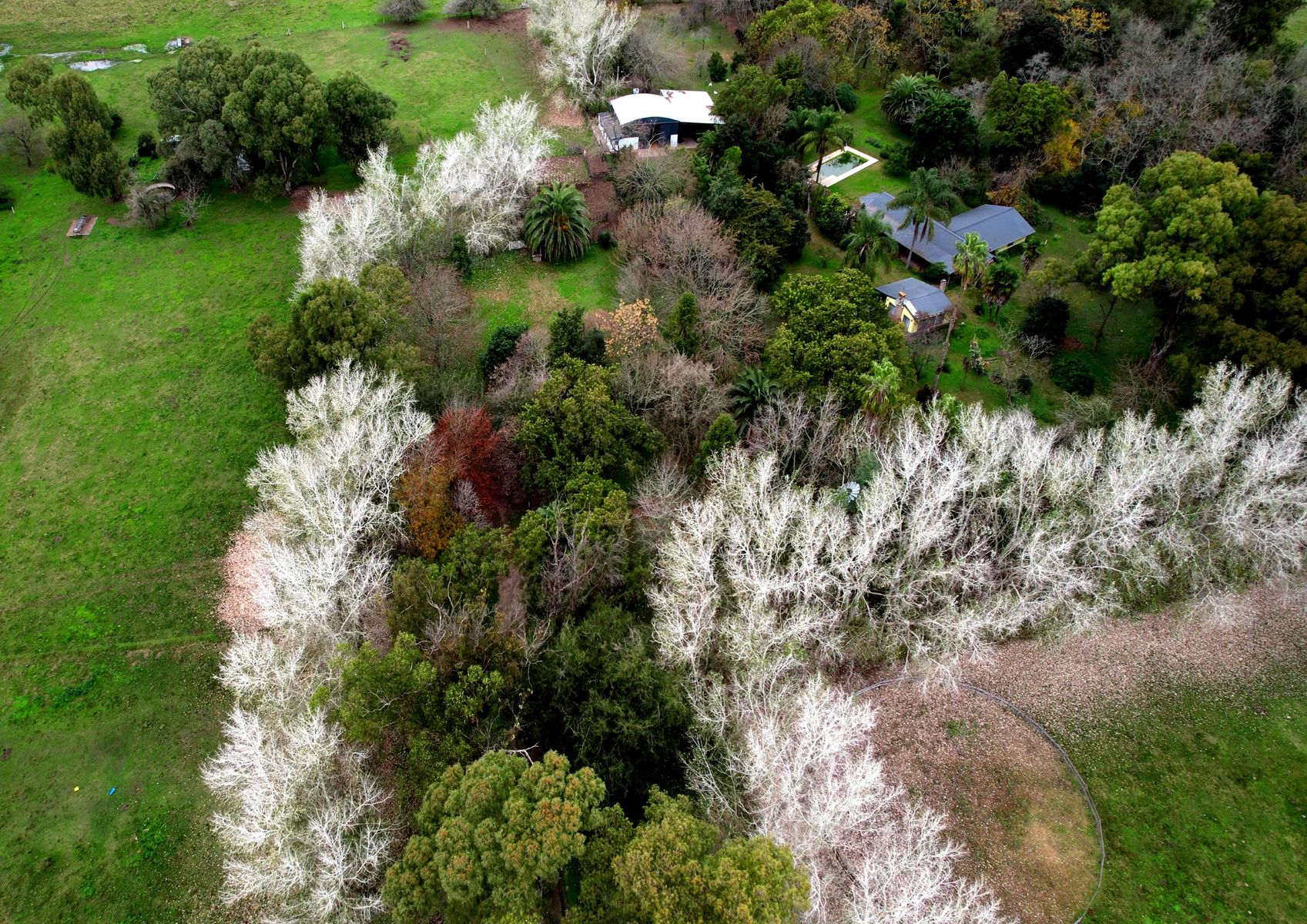 Campo En Venta En Magdalena-Pastoreo Natural Intensivo - 12