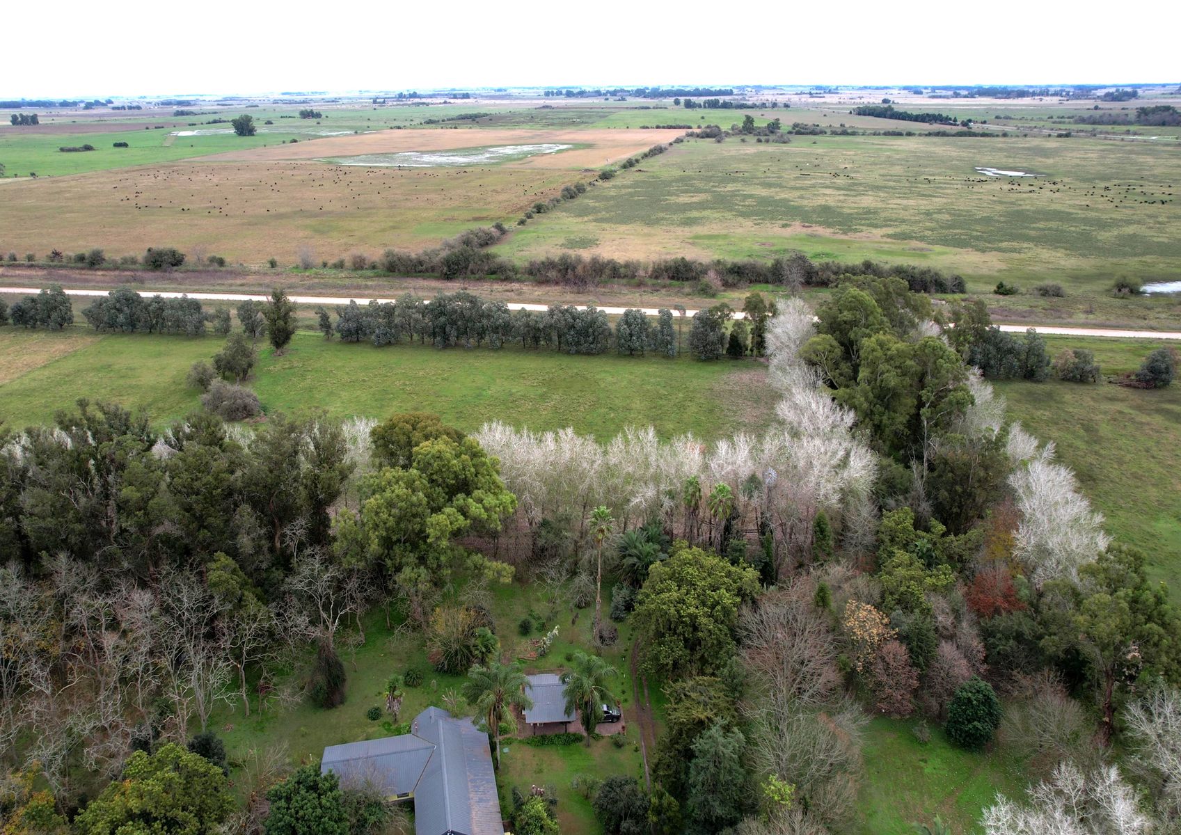Campo En Venta En Magdalena-Pastoreo Natural Intensivo - 13