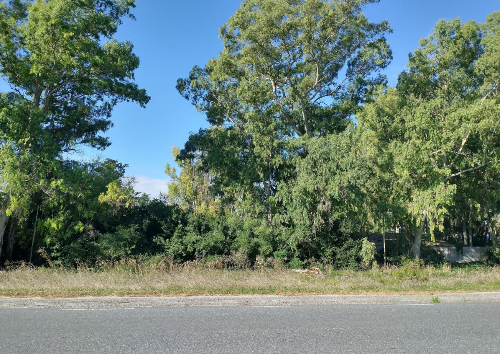 CAMPO en Venta en Punta Indio - sobre Ruta - 8