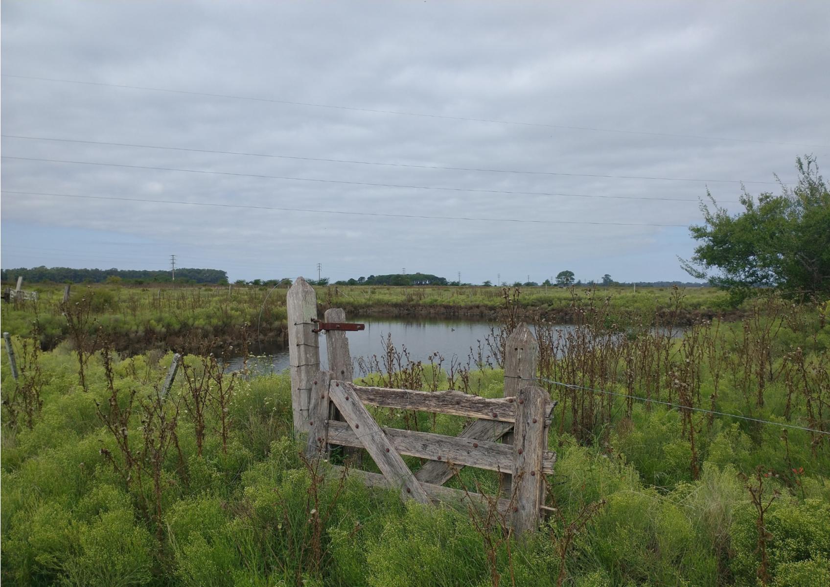 CAMPO en Venta en Punta Indio - sobre Ruta - 10