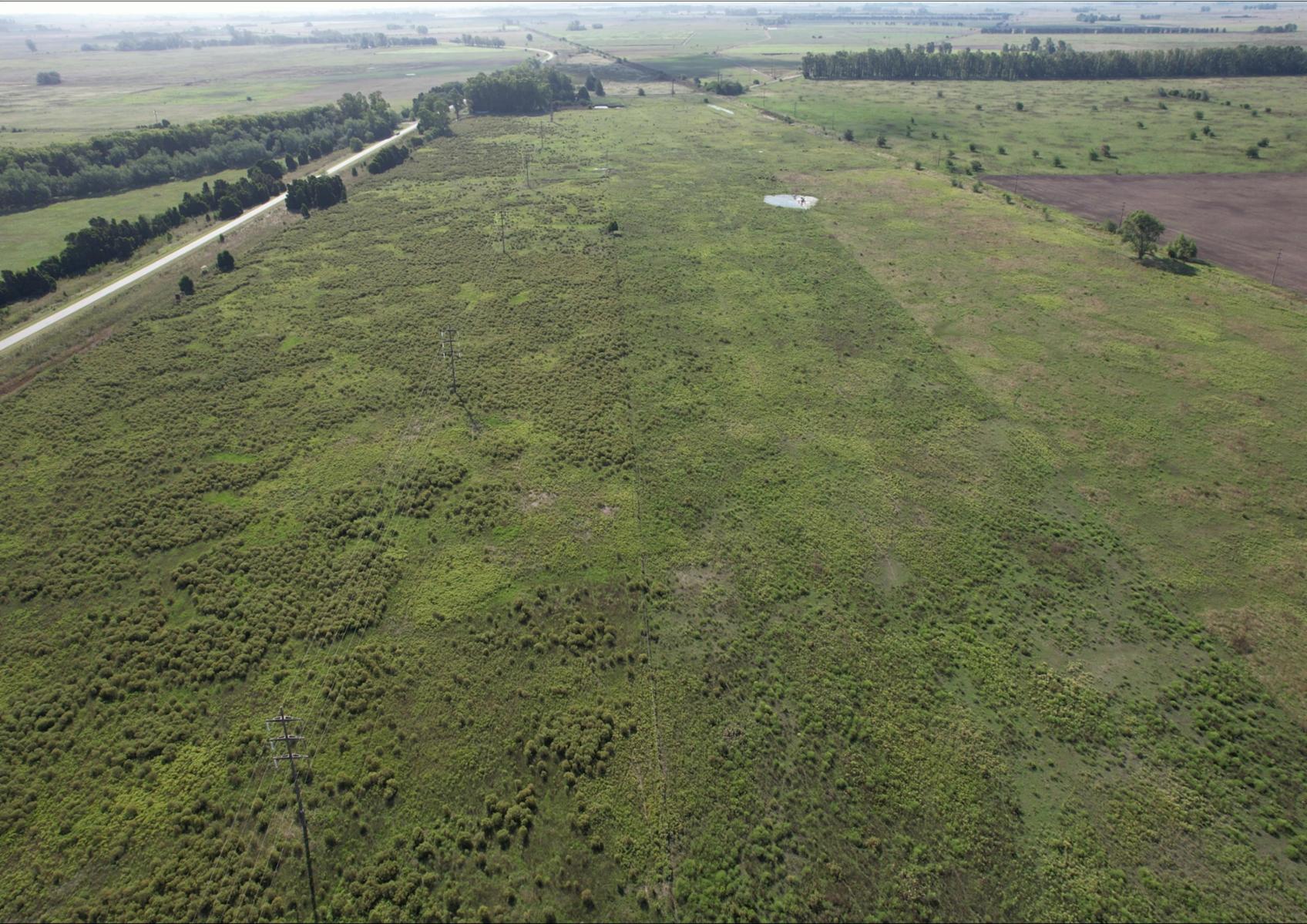 CAMPO en Venta en Punta Indio - sobre Ruta - 15