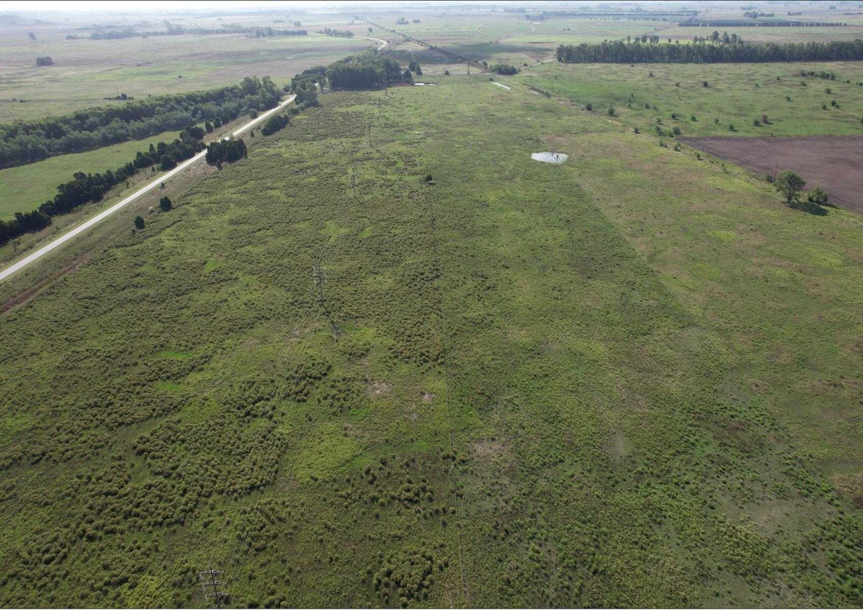 CAMPO en Venta en Punta Indio - sobre Ruta - 18