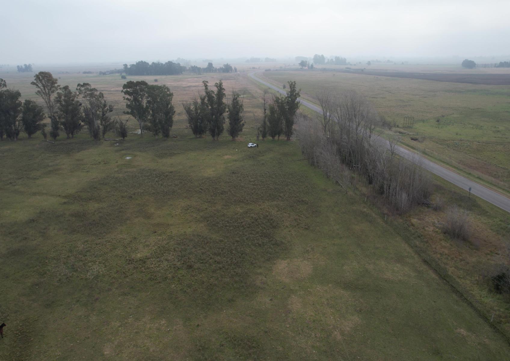 CAMPO en Venta en Magdalena - 17 hectáreas sobre Ruta - 1