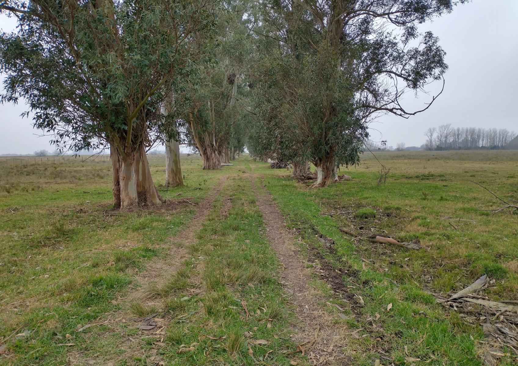 CAMPO en Venta en Magdalena - 17 hectáreas sobre Ruta - 2
