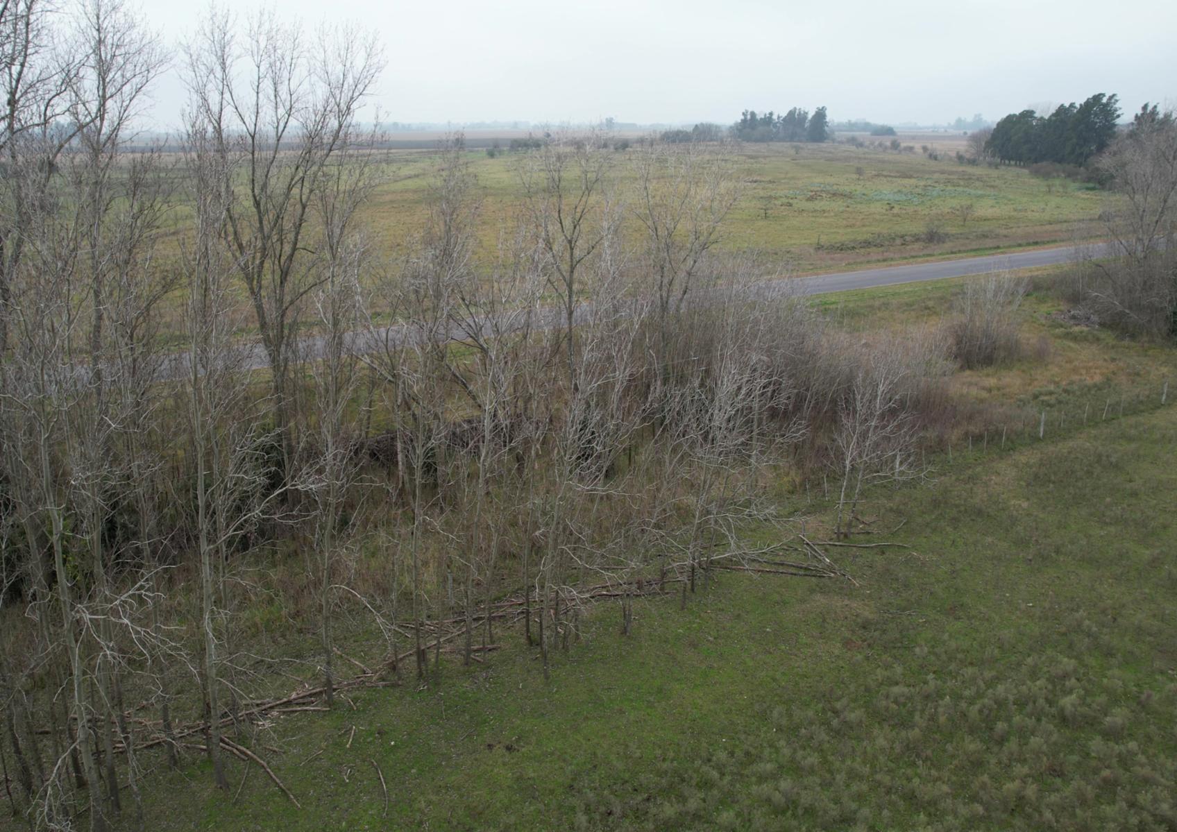 CAMPO en Venta en Magdalena - 17 hectáreas sobre Ruta - 3