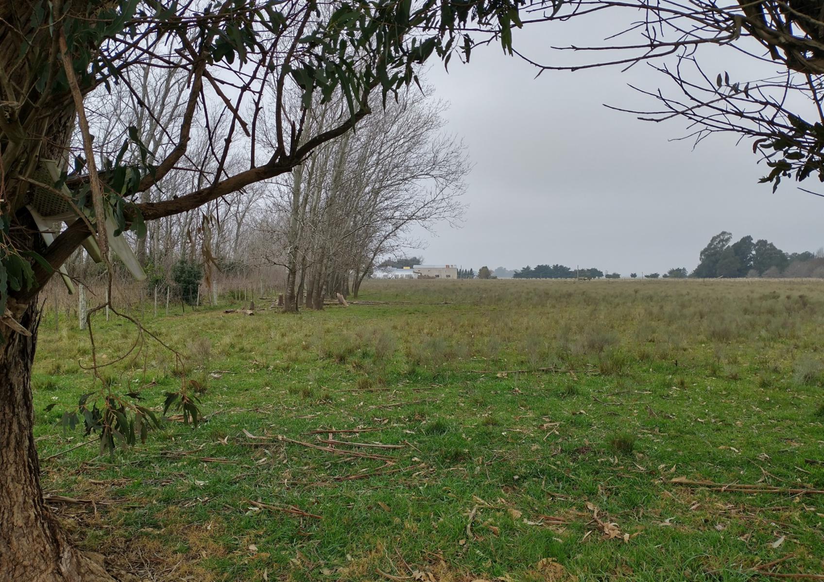 CAMPO en Venta en Magdalena - 17 hectáreas sobre Ruta - 5