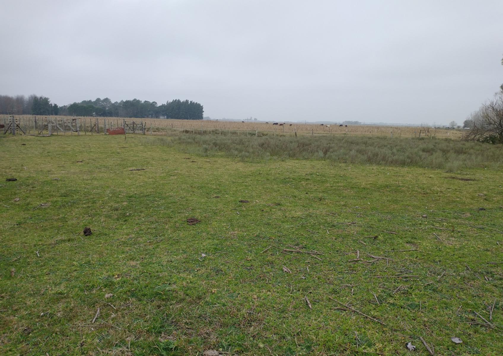 CAMPO en Venta en Magdalena - 17 hectáreas sobre Ruta - 7