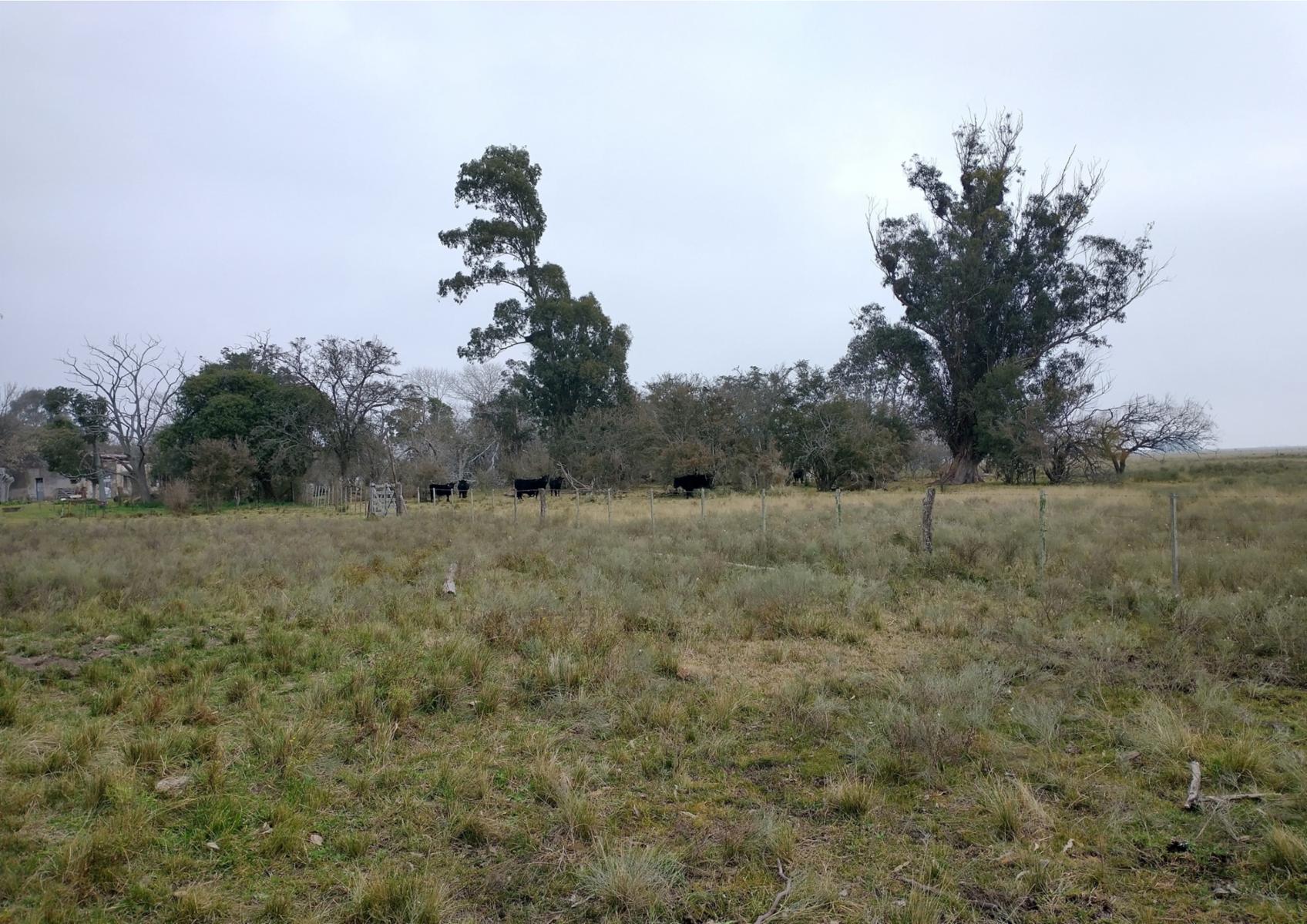 CAMPO en Venta en Magdalena - 17 hectáreas sobre Ruta - 8
