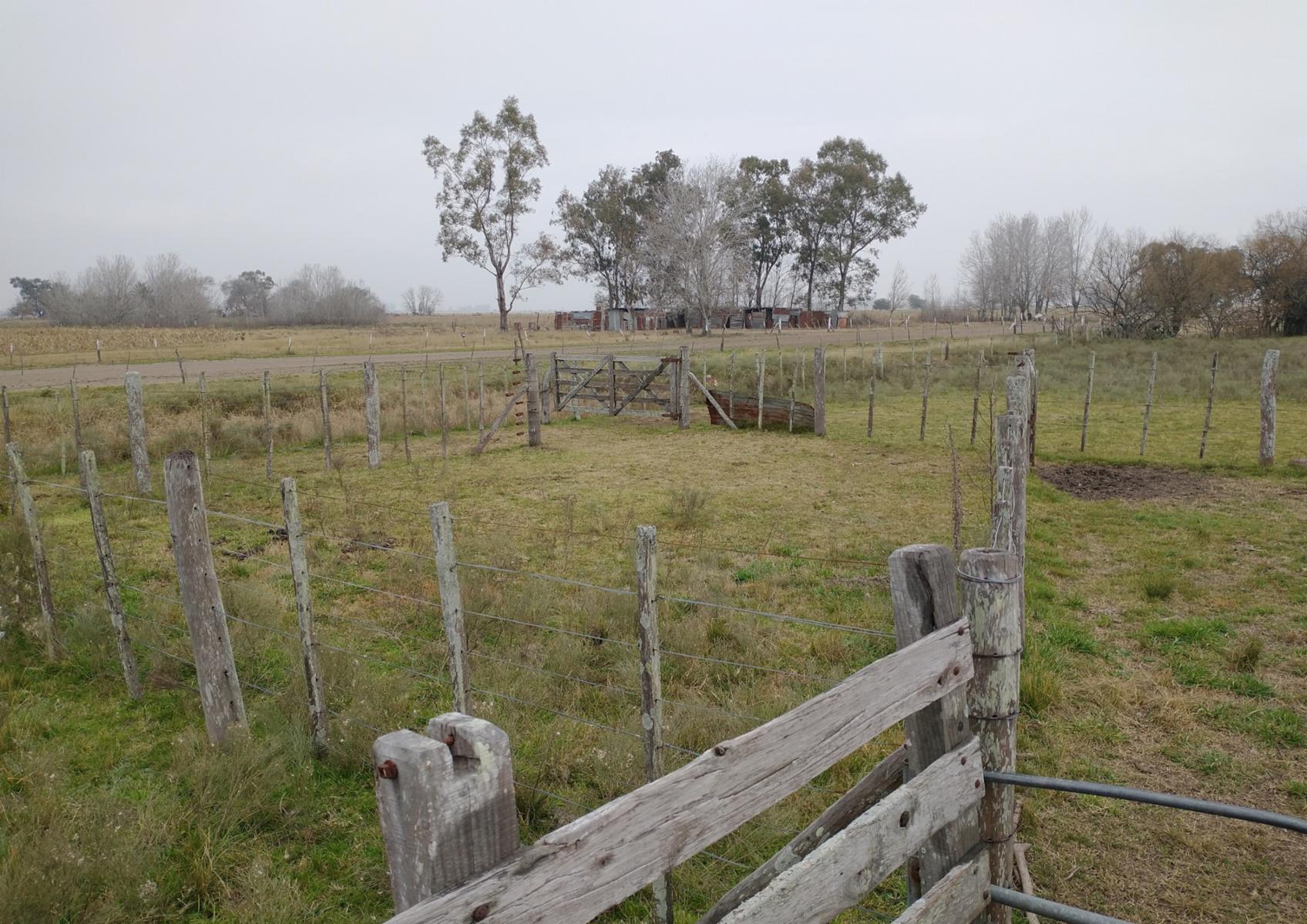 CAMPO en Venta en Magdalena - 17 hectáreas sobre Ruta - 9