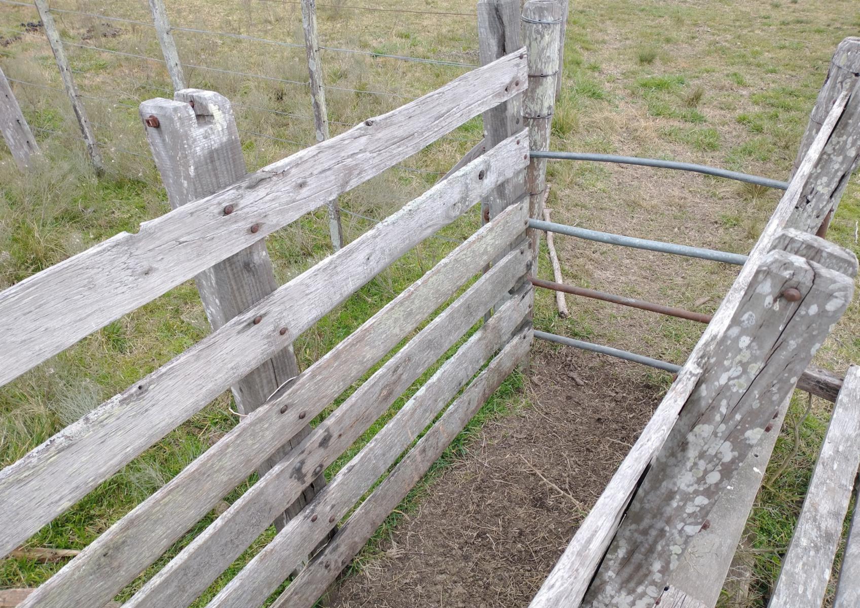 CAMPO en Venta en Magdalena - 17 hectáreas sobre Ruta - 10