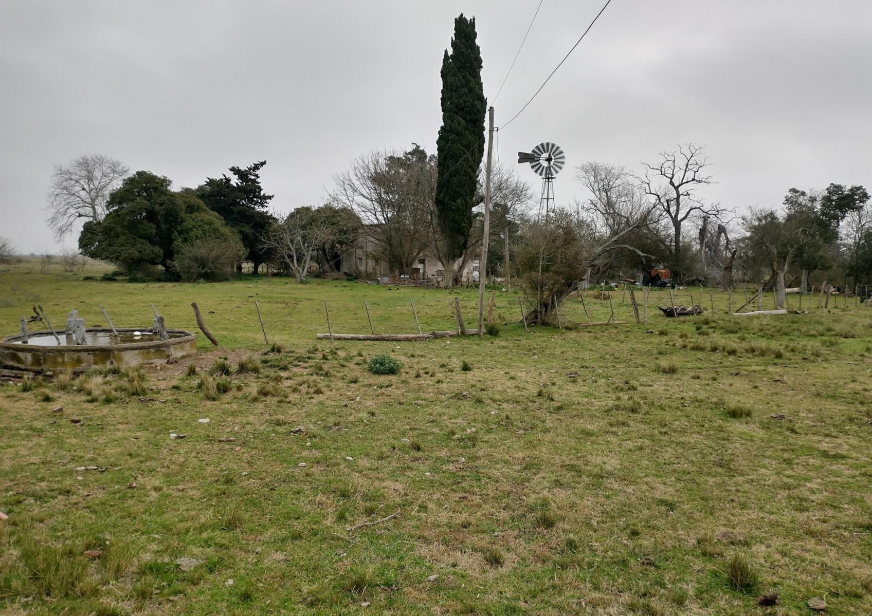CAMPO en Venta en Magdalena - 17 hectáreas sobre Ruta - 11