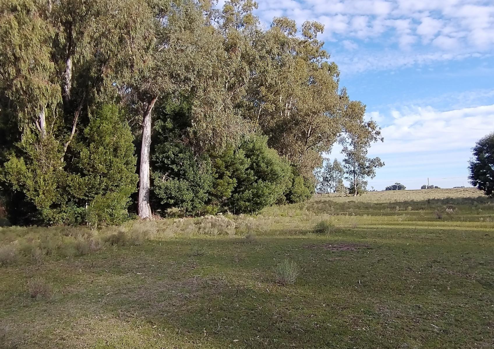 CAMPO en Venta en Punta Indio - 3