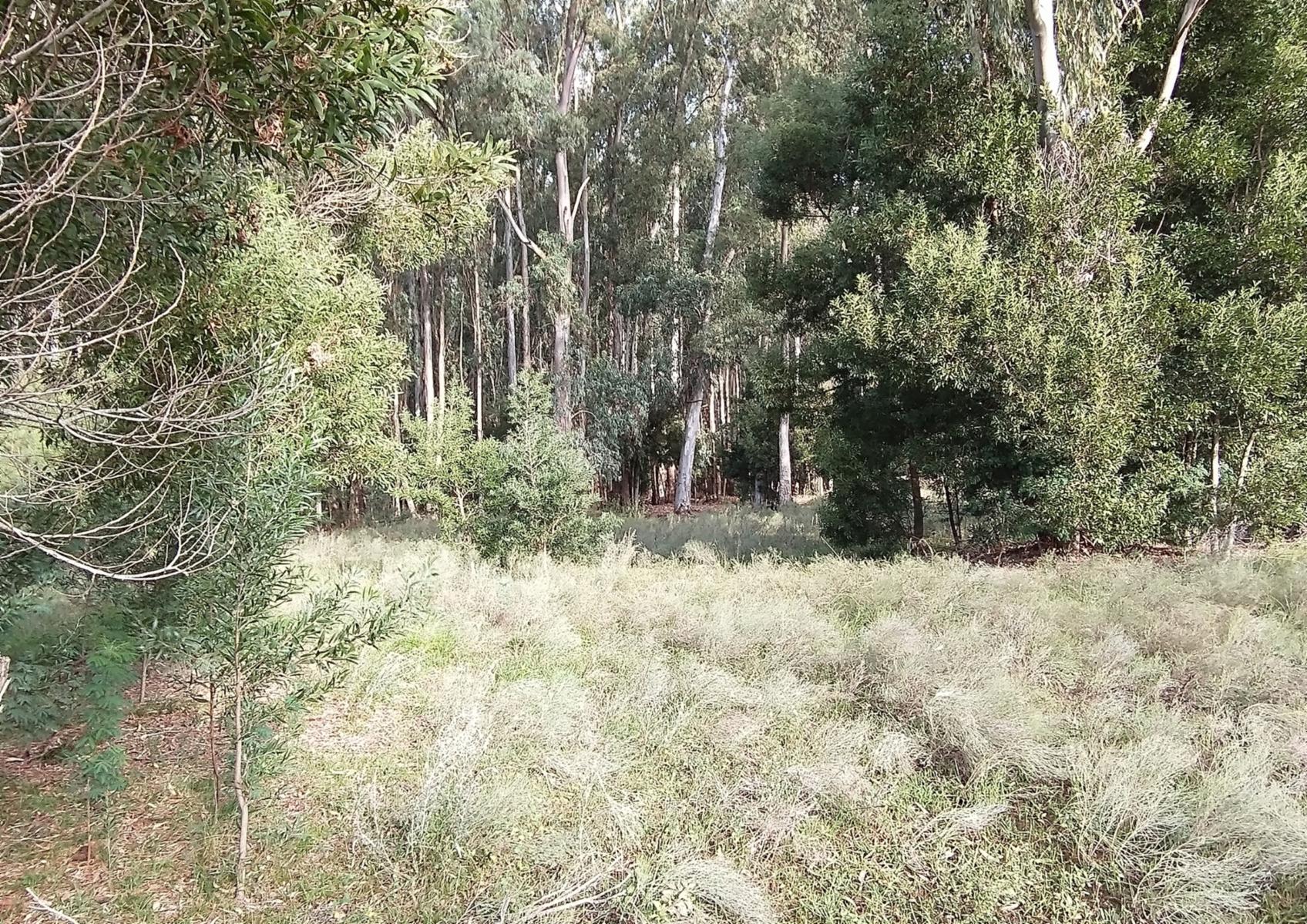 CAMPO en Venta en Punta Indio - 4