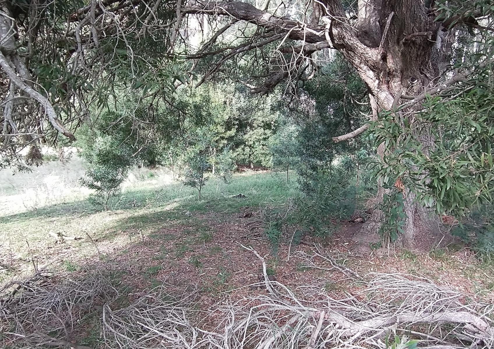 CAMPO en Venta en Punta Indio - 5