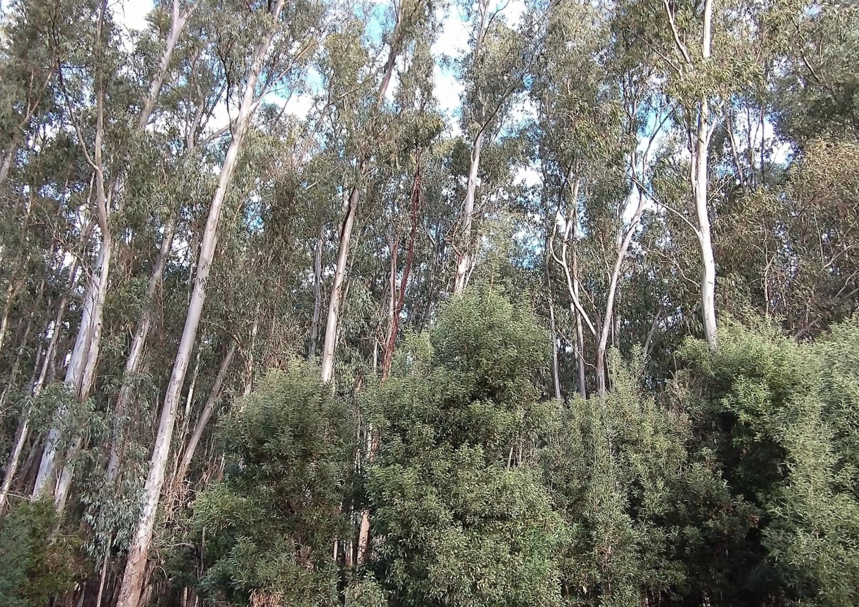 CAMPO en Venta en Punta Indio - 6