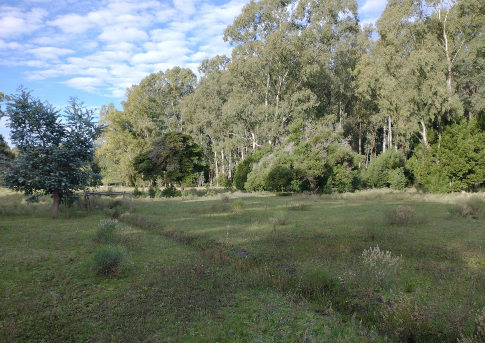 CAMPO en Venta en Punta Indio - 7