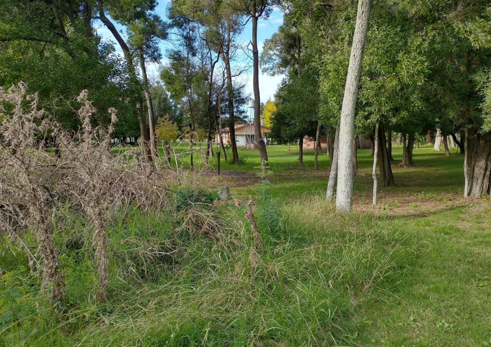 CAMPO en Venta en Punta Indio - 13