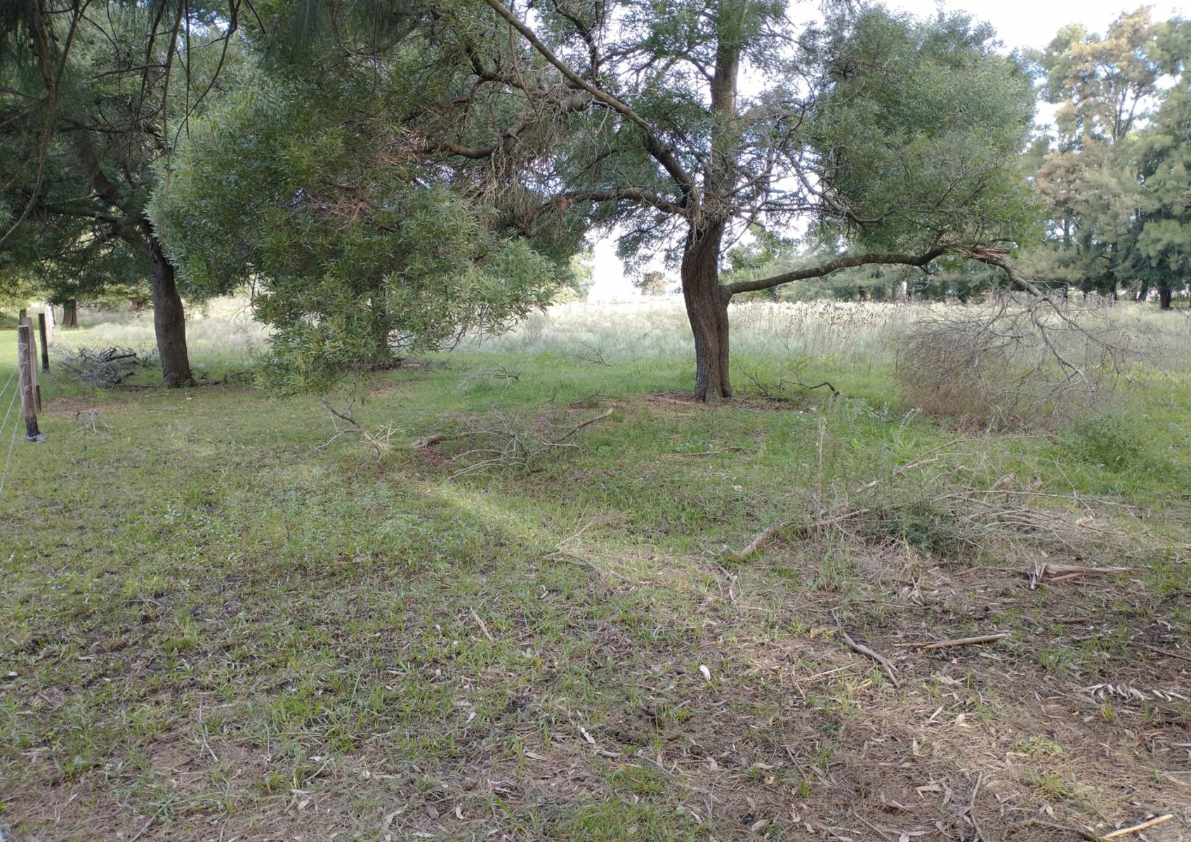CAMPO en Venta en Punta Indio - 14