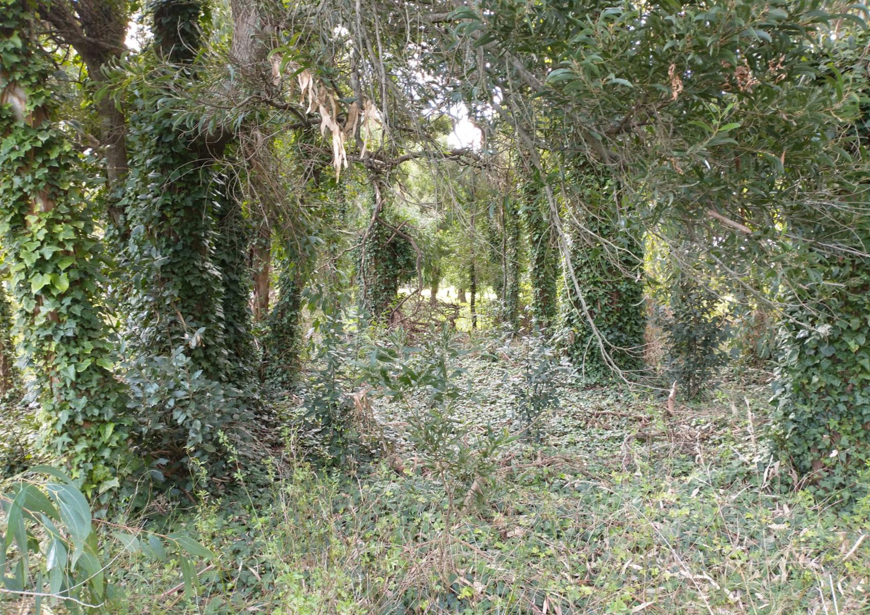 CAMPO en Venta en Punta Indio - 15