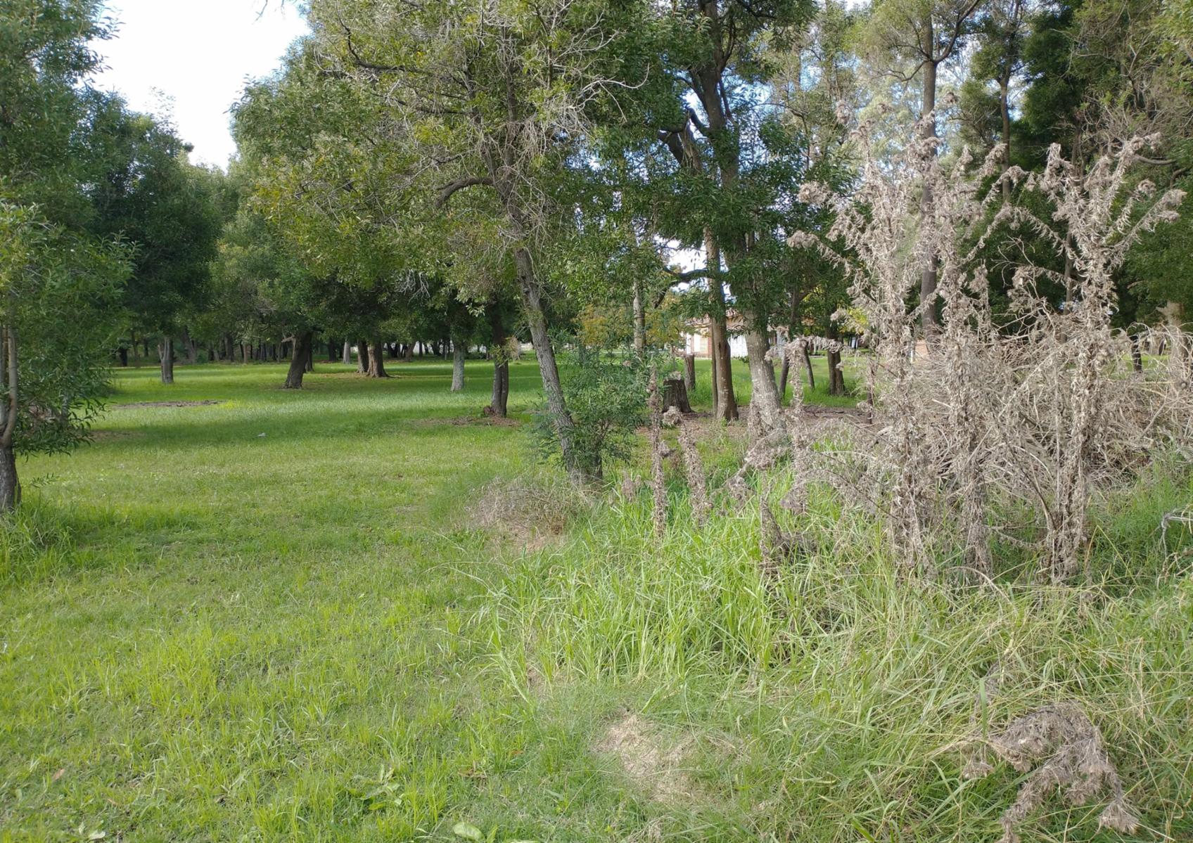 CAMPO en Venta en Punta Indio - 18