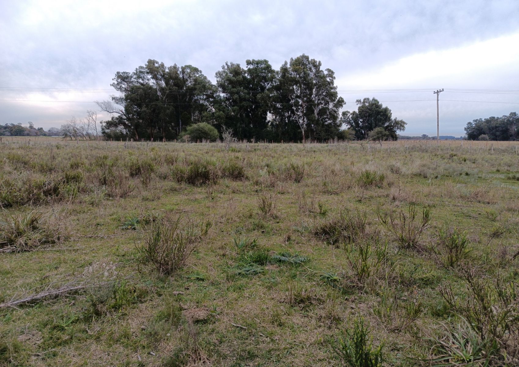 CAMPO en Venta en Magdalena - 29 Hectáreas - 2
