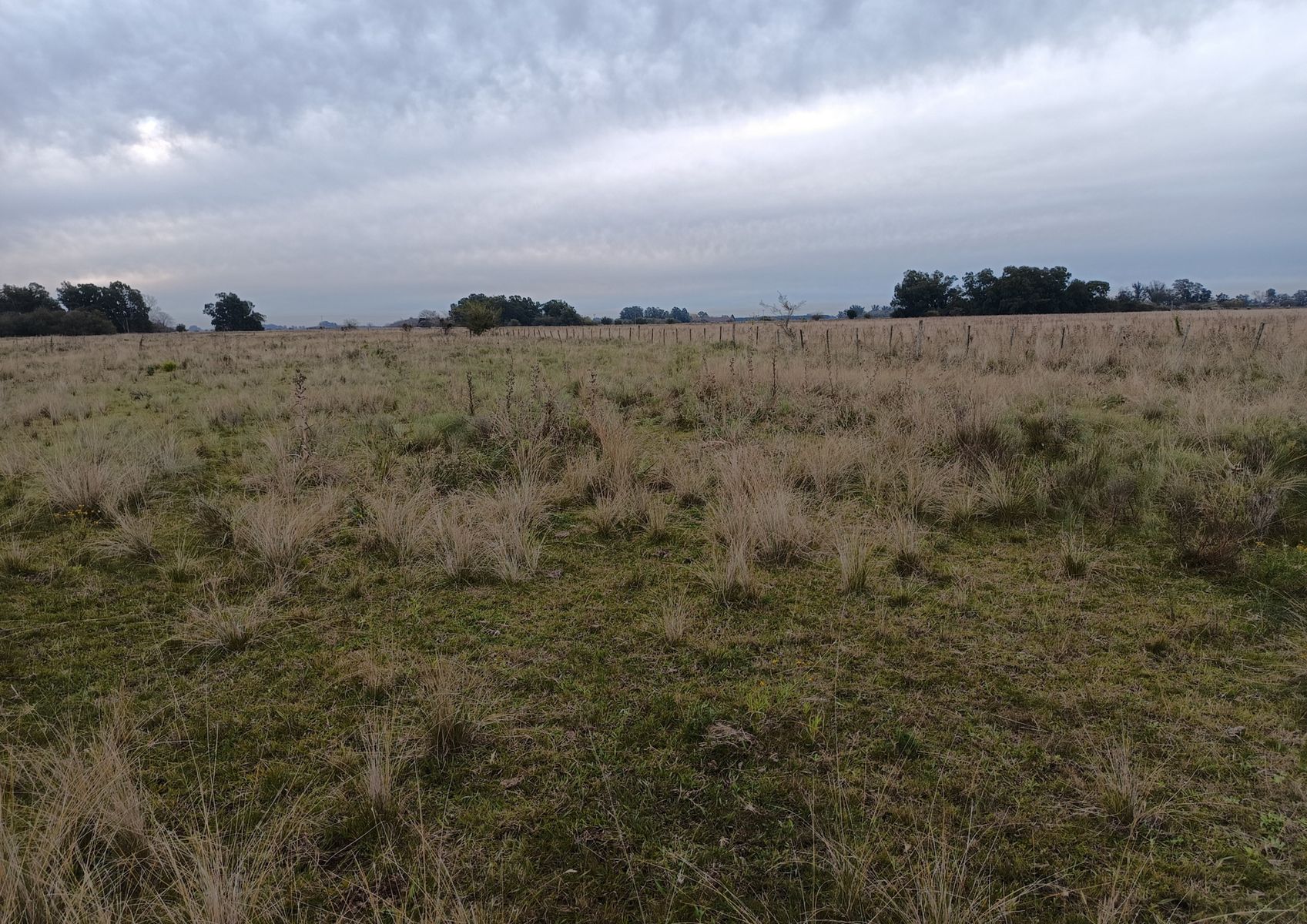 CAMPO en Venta en Magdalena - 29 Hectáreas - 3