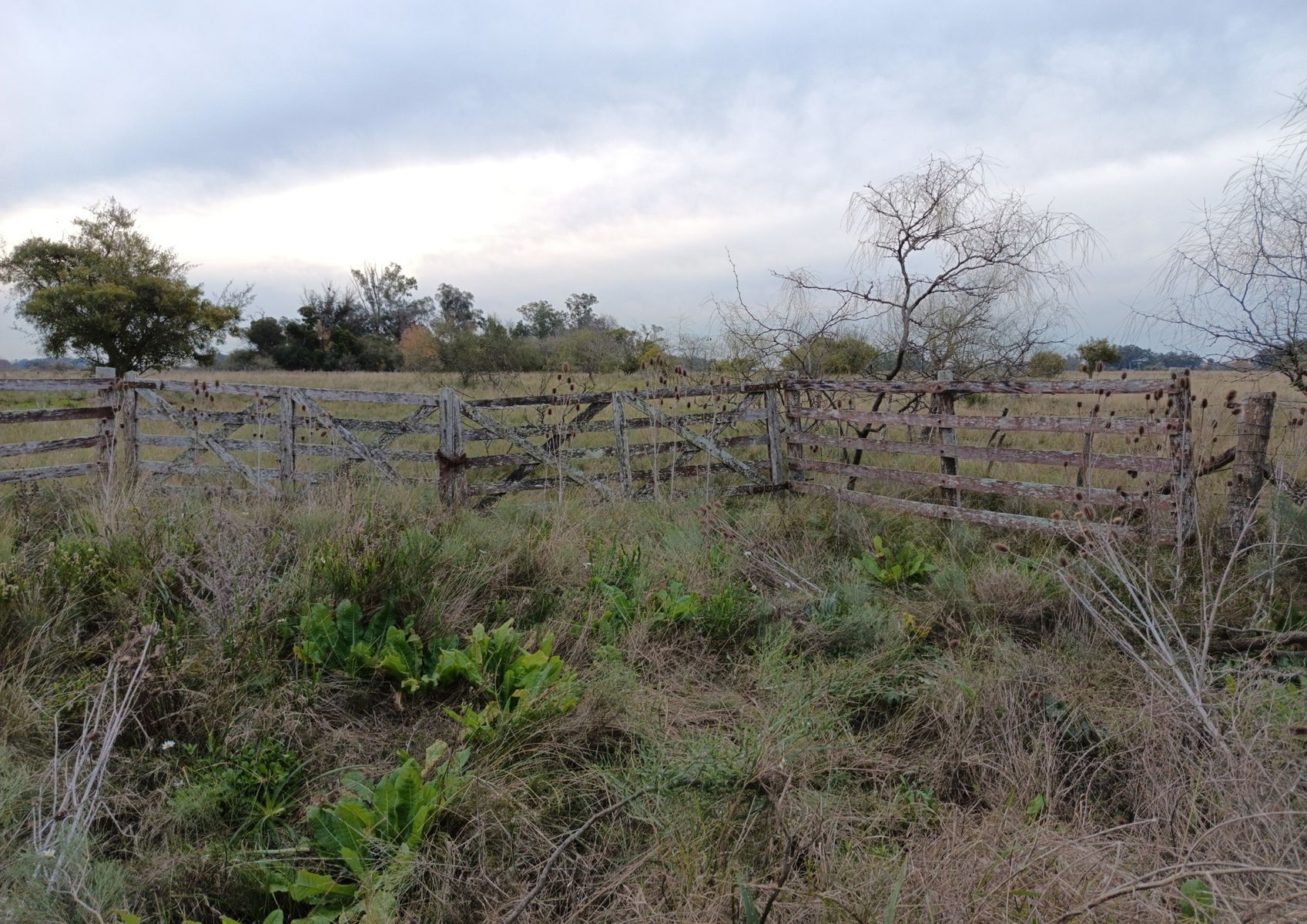 CAMPO en Venta en Magdalena - 29 Hectáreas - 10