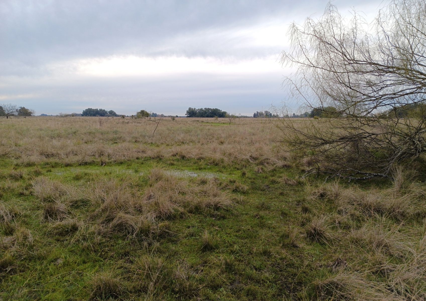 CAMPO en Venta en Magdalena - 29 Hectáreas - 13