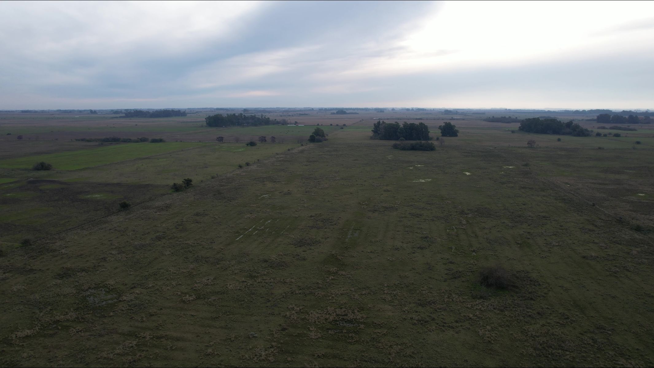 CAMPO en Venta en Magdalena - 29 Hectáreas - 17