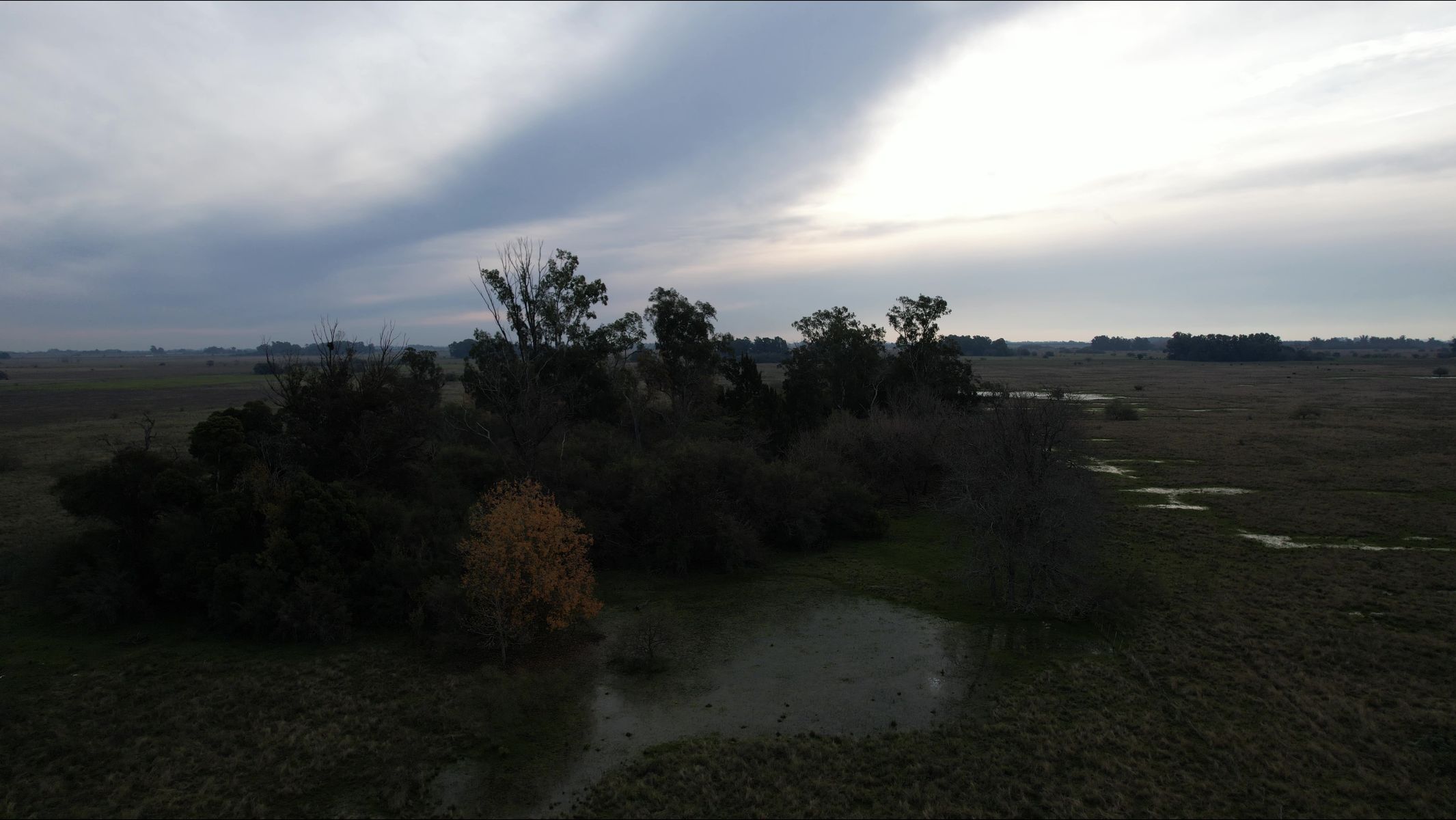 CAMPO en Venta en Magdalena - 29 Hectáreas - 18