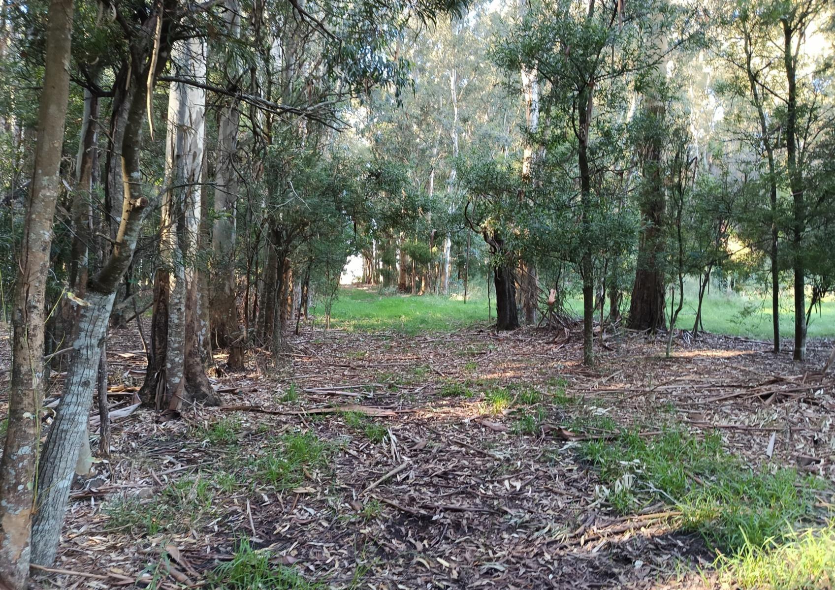 CAMPO en Venta 6,35 Hectáreas en Punta Indio - 2