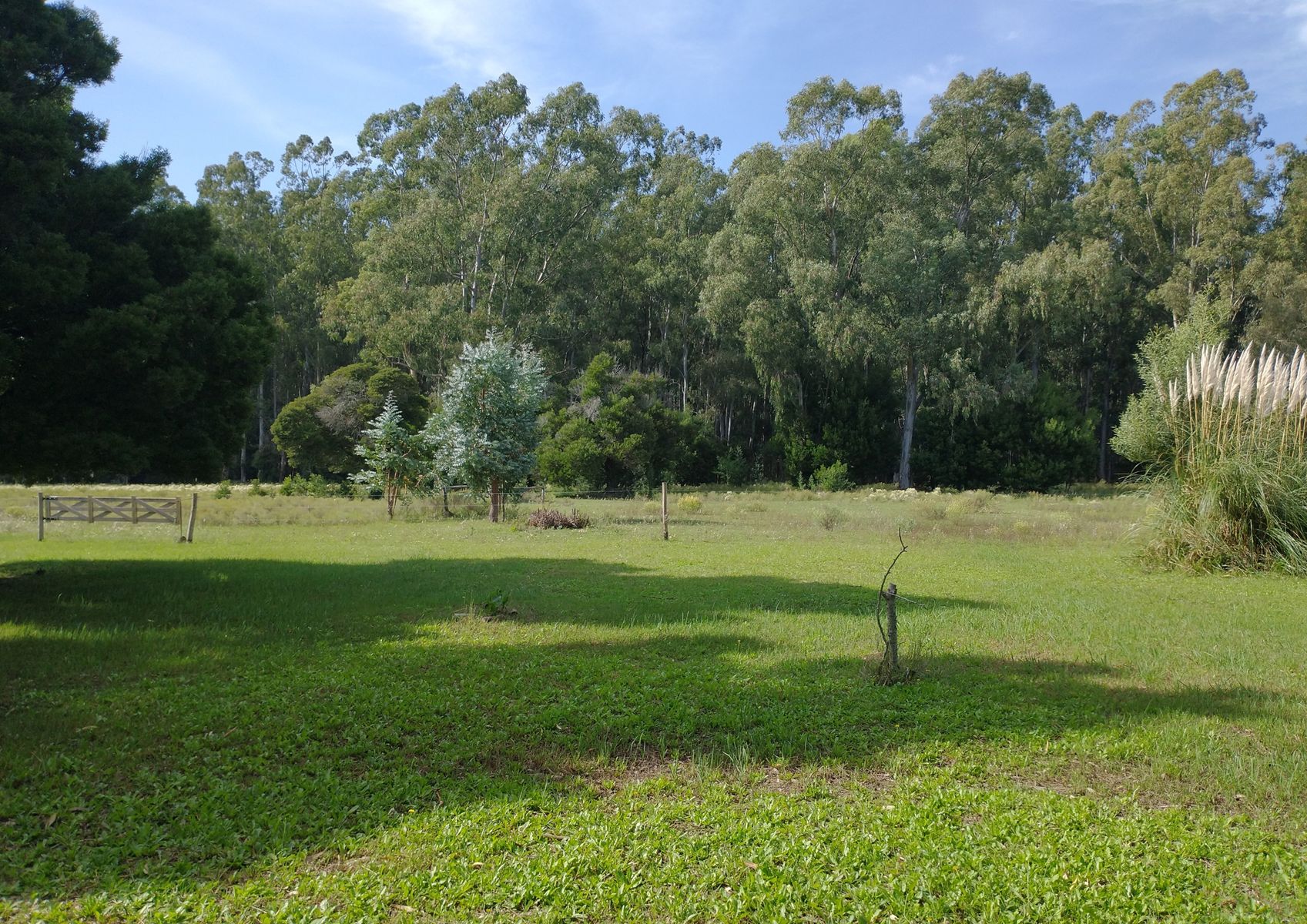 CAMPO en Venta 6,35 Hectáreas en Punta Indio - 7