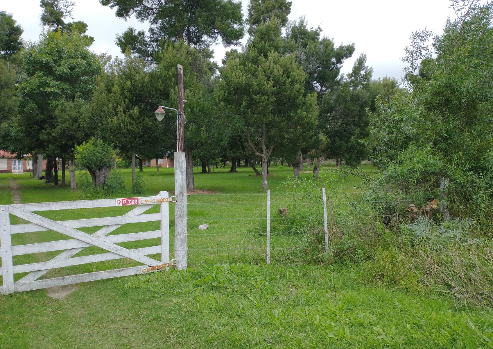 CAMPO en Venta 6,35 Hectáreas en Punta Indio - 10