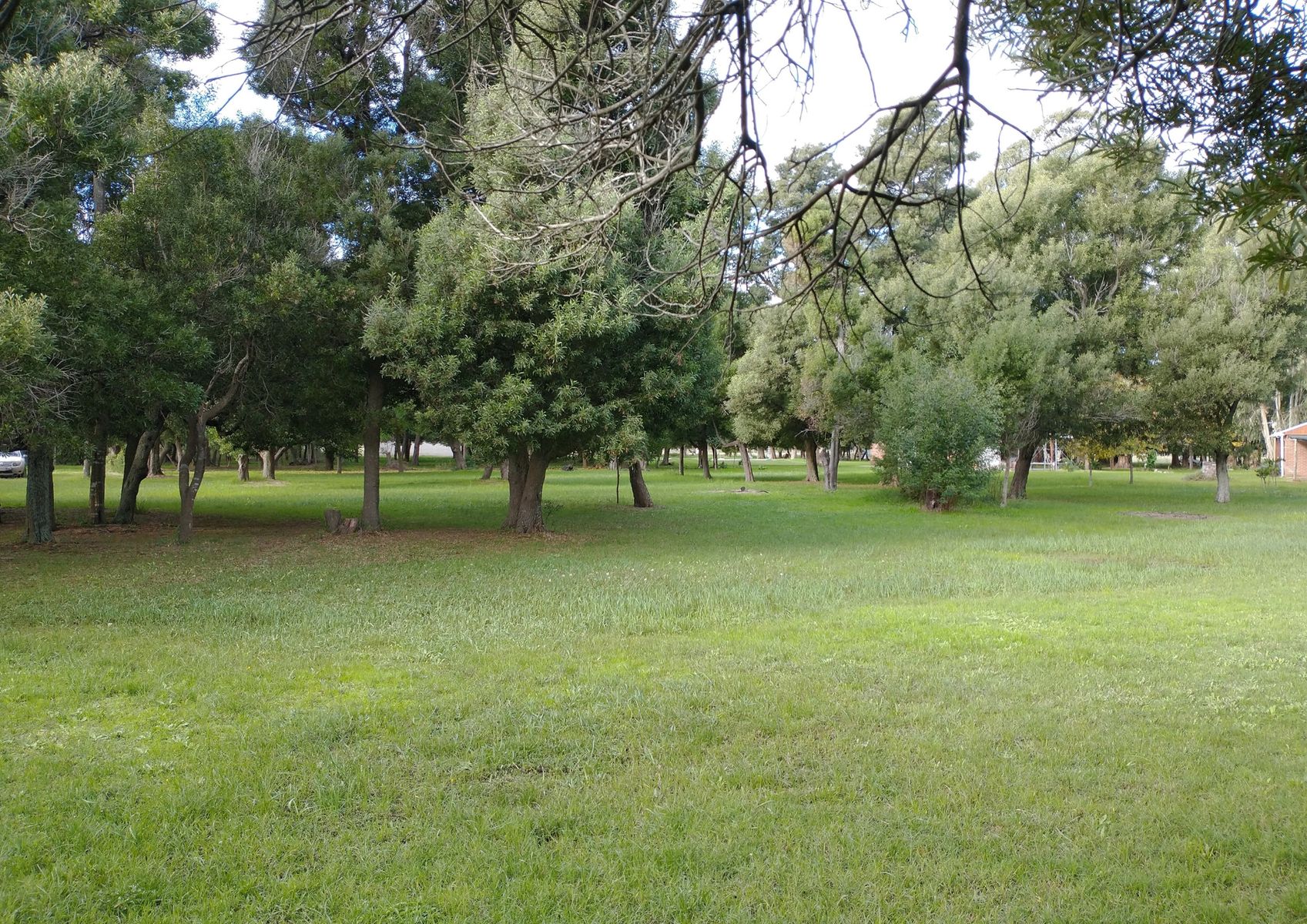 CAMPO en Venta 6,35 Hectáreas en Punta Indio - 16