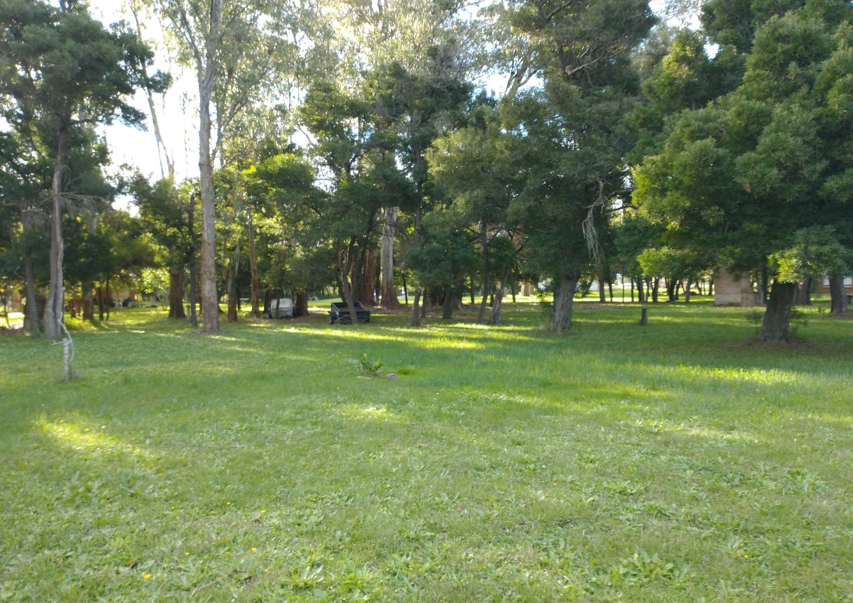 CAMPO en Venta 6,35 Hectáreas en Punta Indio - 18