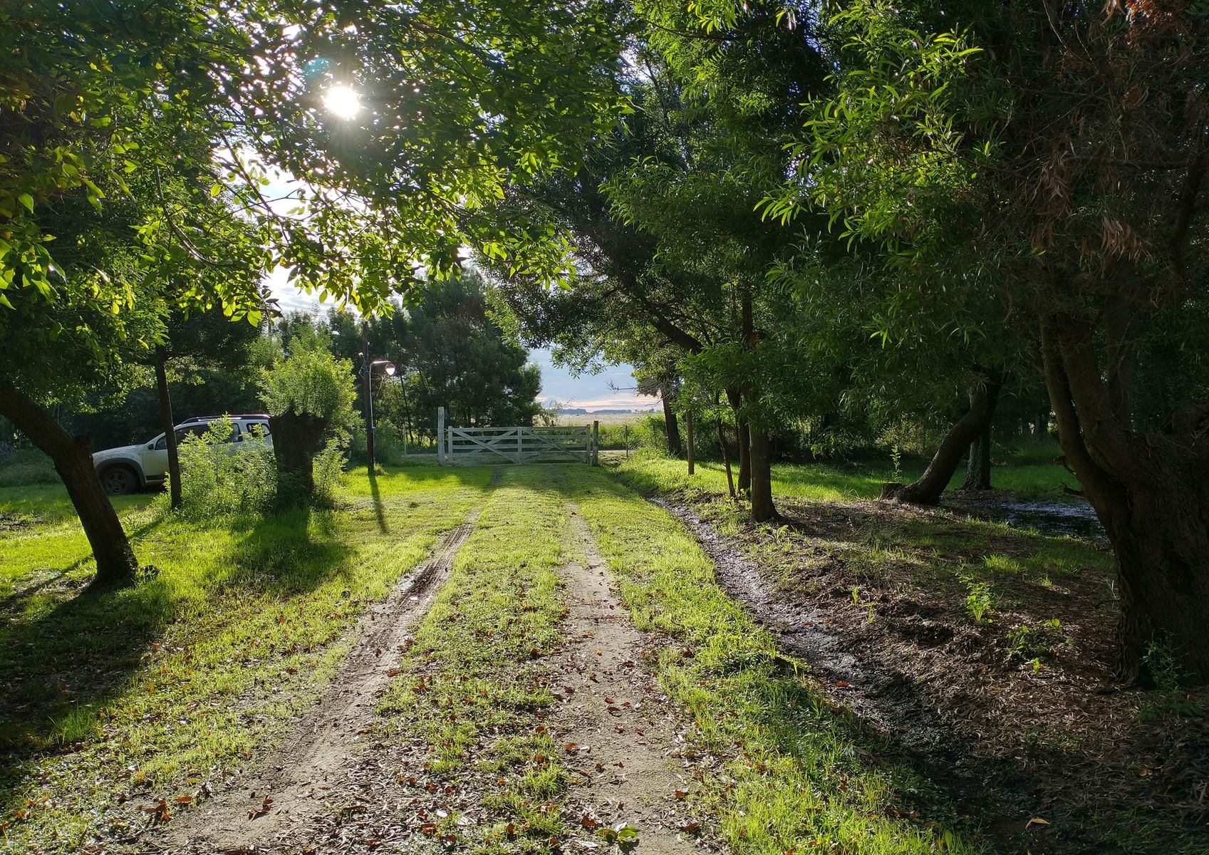 CAMPO en Venta 6,35 Hectáreas en Punta Indio - 21