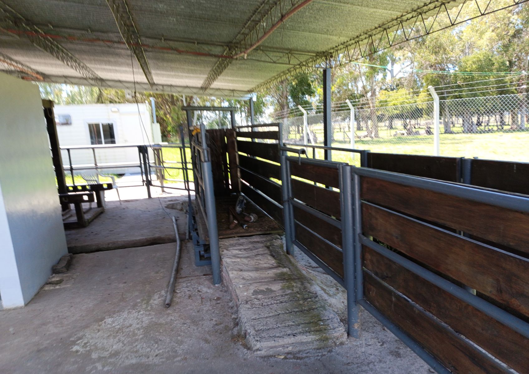 CAMPO - CABAÑA - PLANTA ALIMENTOS EN VENTA EN PUNTA INDIO - 1