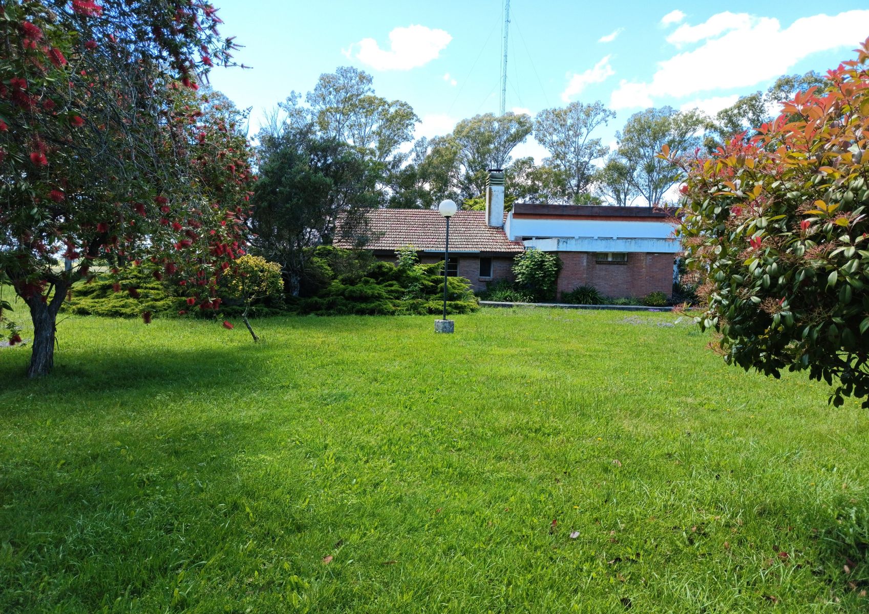 CAMPO - CABAÑA - PLANTA ALIMENTOS EN VENTA EN PUNTA INDIO - 10