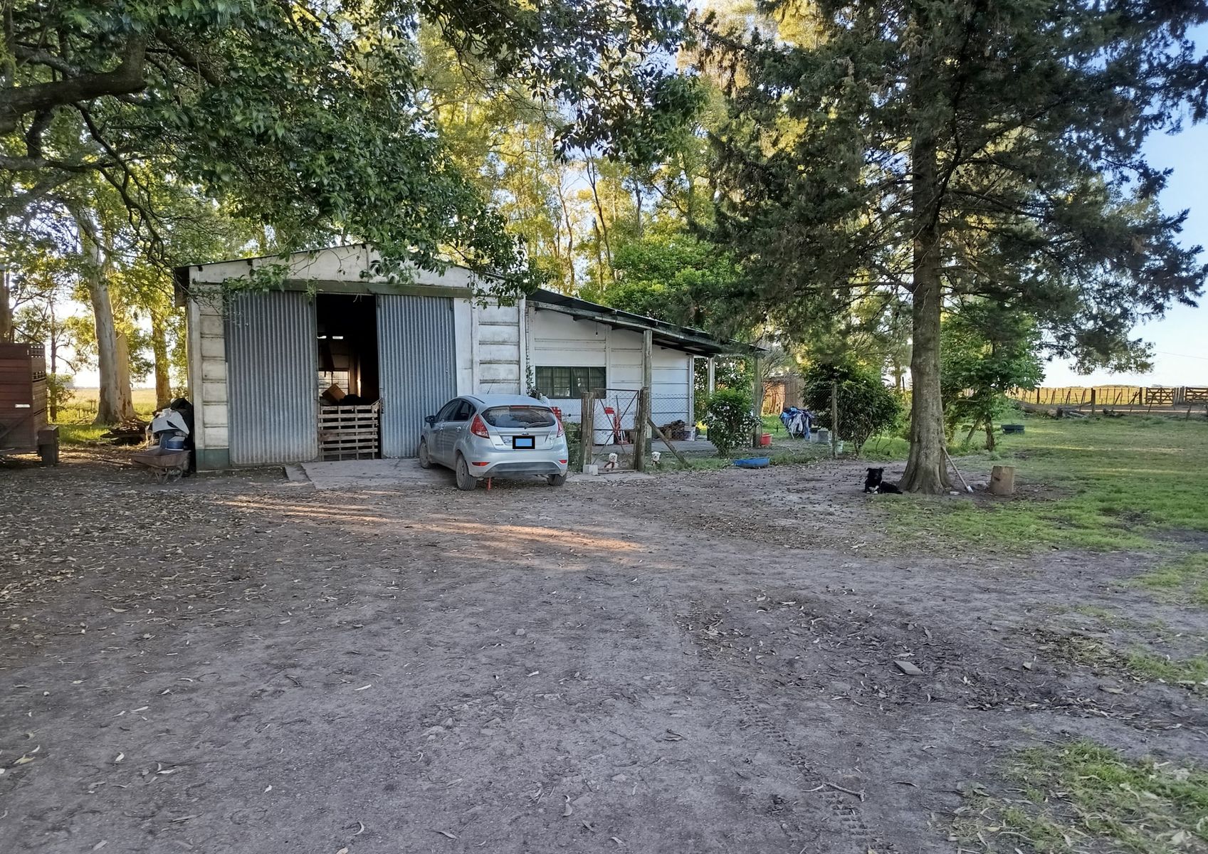 CAMPO en Venta en Punta Indio 170 hectáreas - 2
