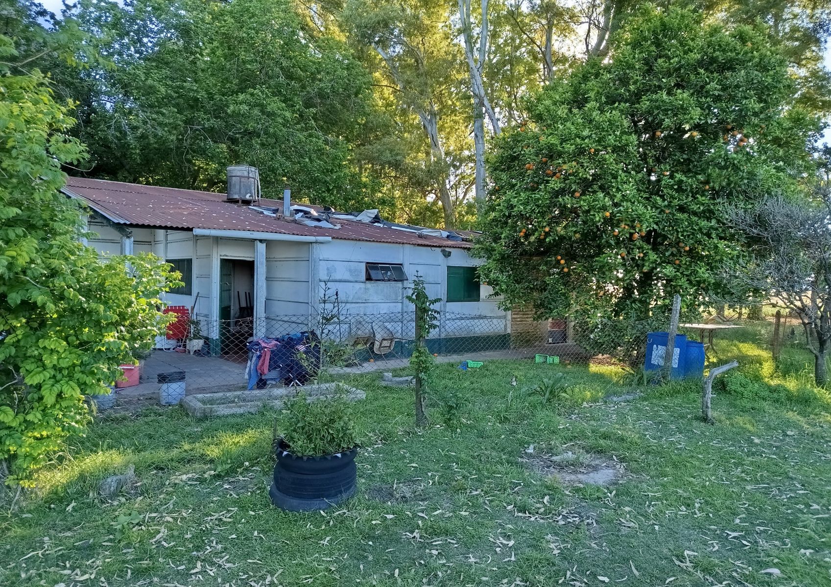 CAMPO en Venta en Punta Indio 170 hectáreas - 3