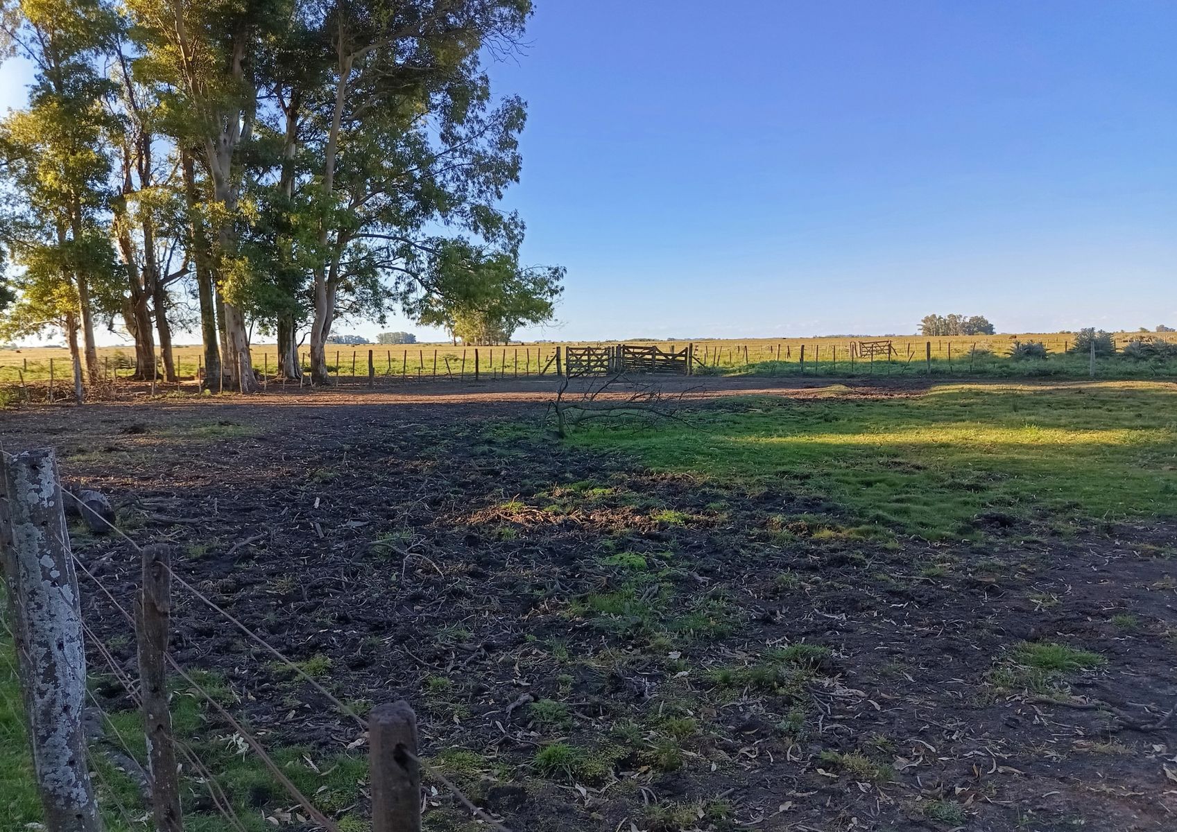 CAMPO en Venta en Punta Indio 170 hectáreas - 4